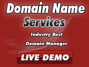 Modestly priced domain registration services